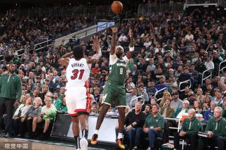 的巴西国家 的巴西国家