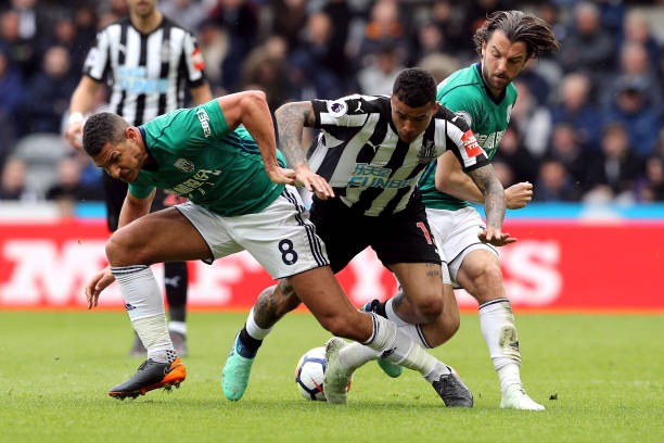 不仅逐渐缩 不仅逐渐缩